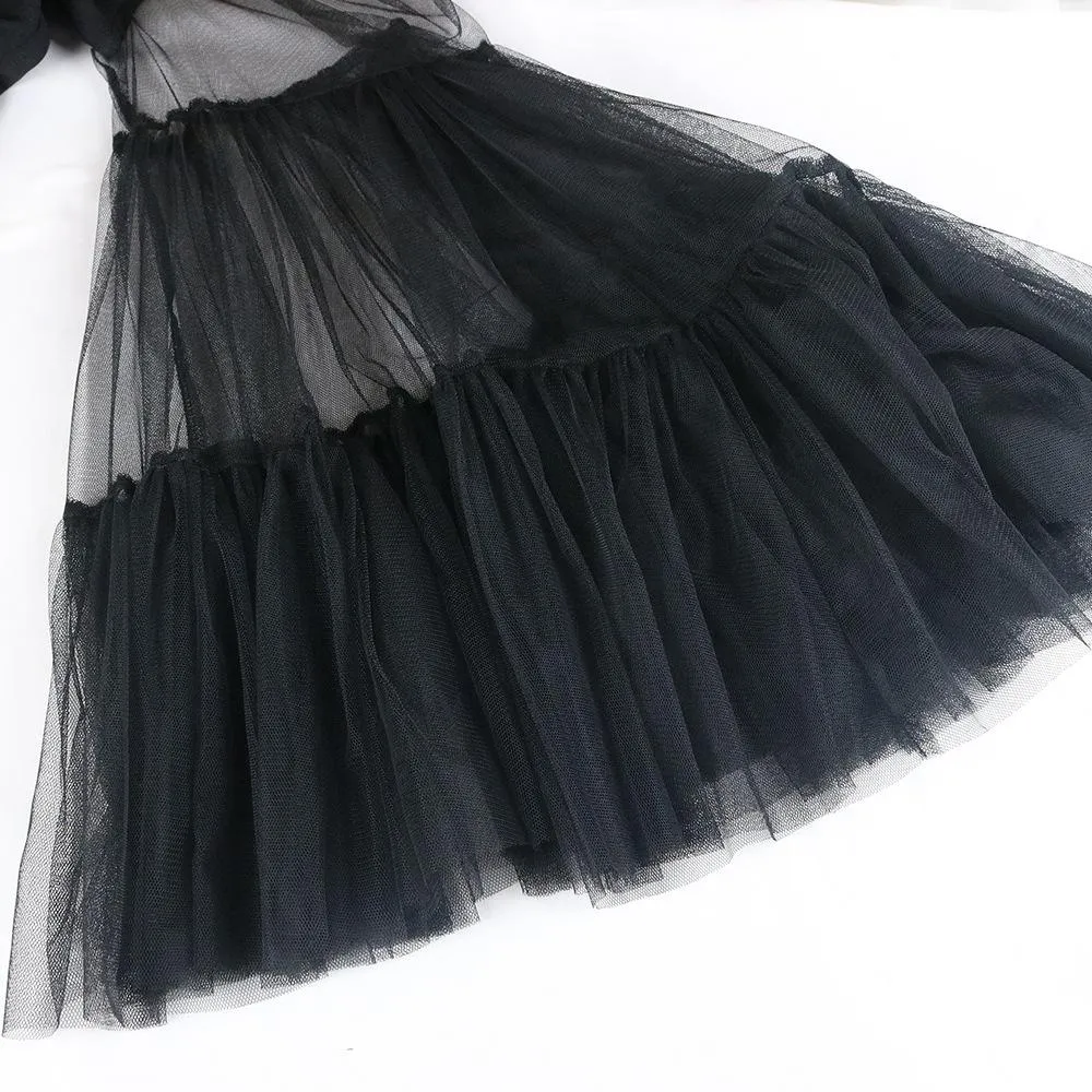 Black See Through Net Ruffled Mini Dresses