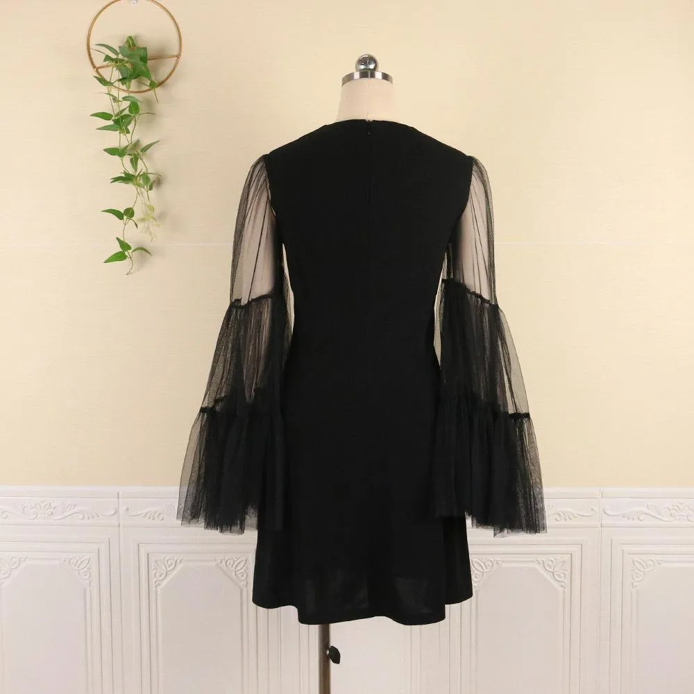 Black See Through Net Ruffled Mini Dresses
