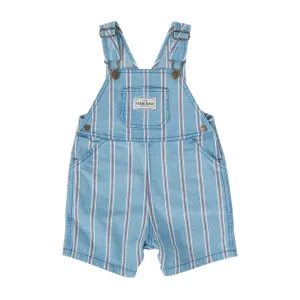 Burton Classic Stripe Denim Overalls