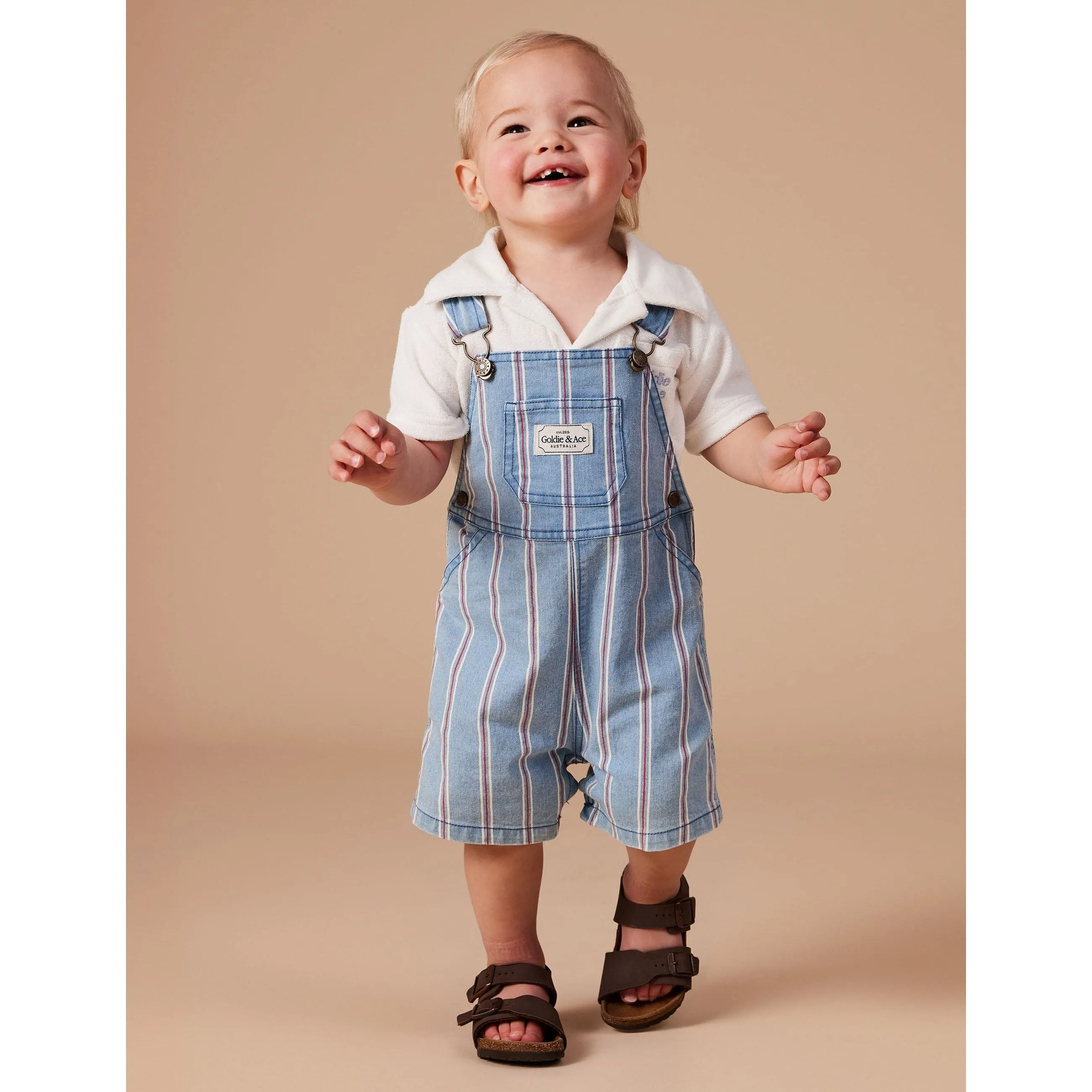 Burton Classic Stripe Denim Overalls