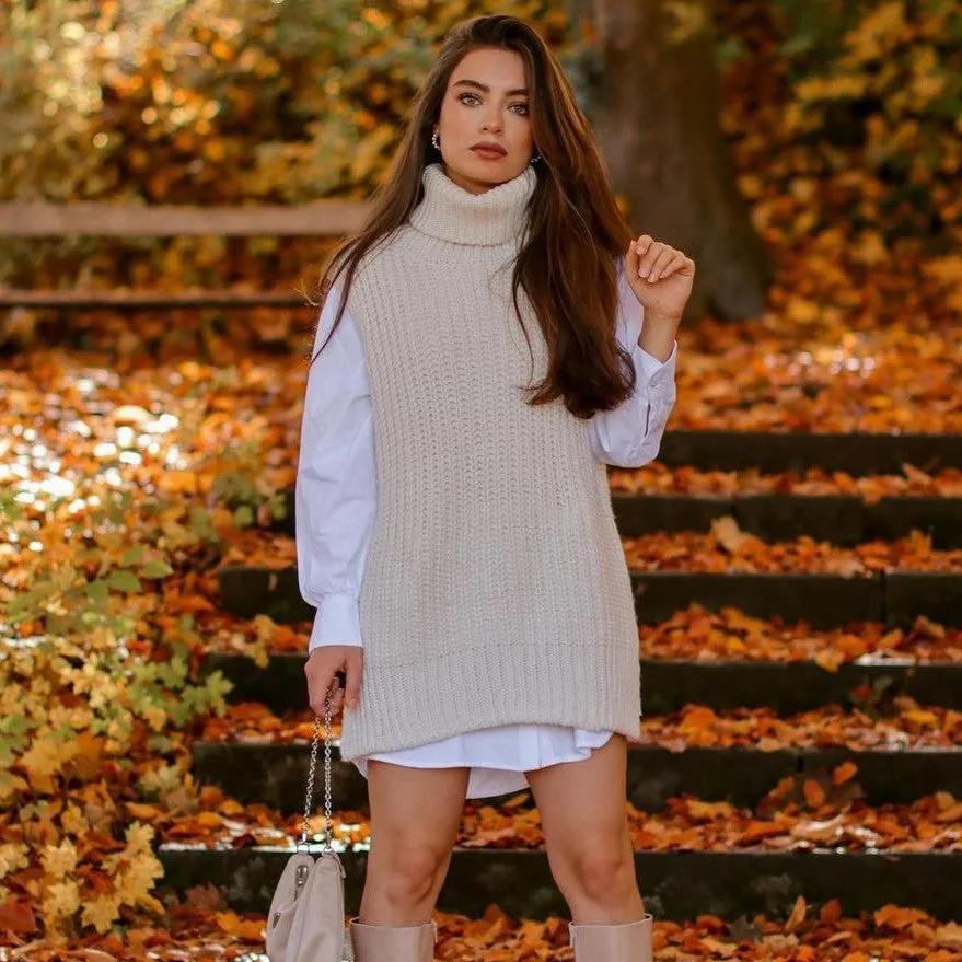 Casual Pile Collar High-collared Sweaters Mini Dresses