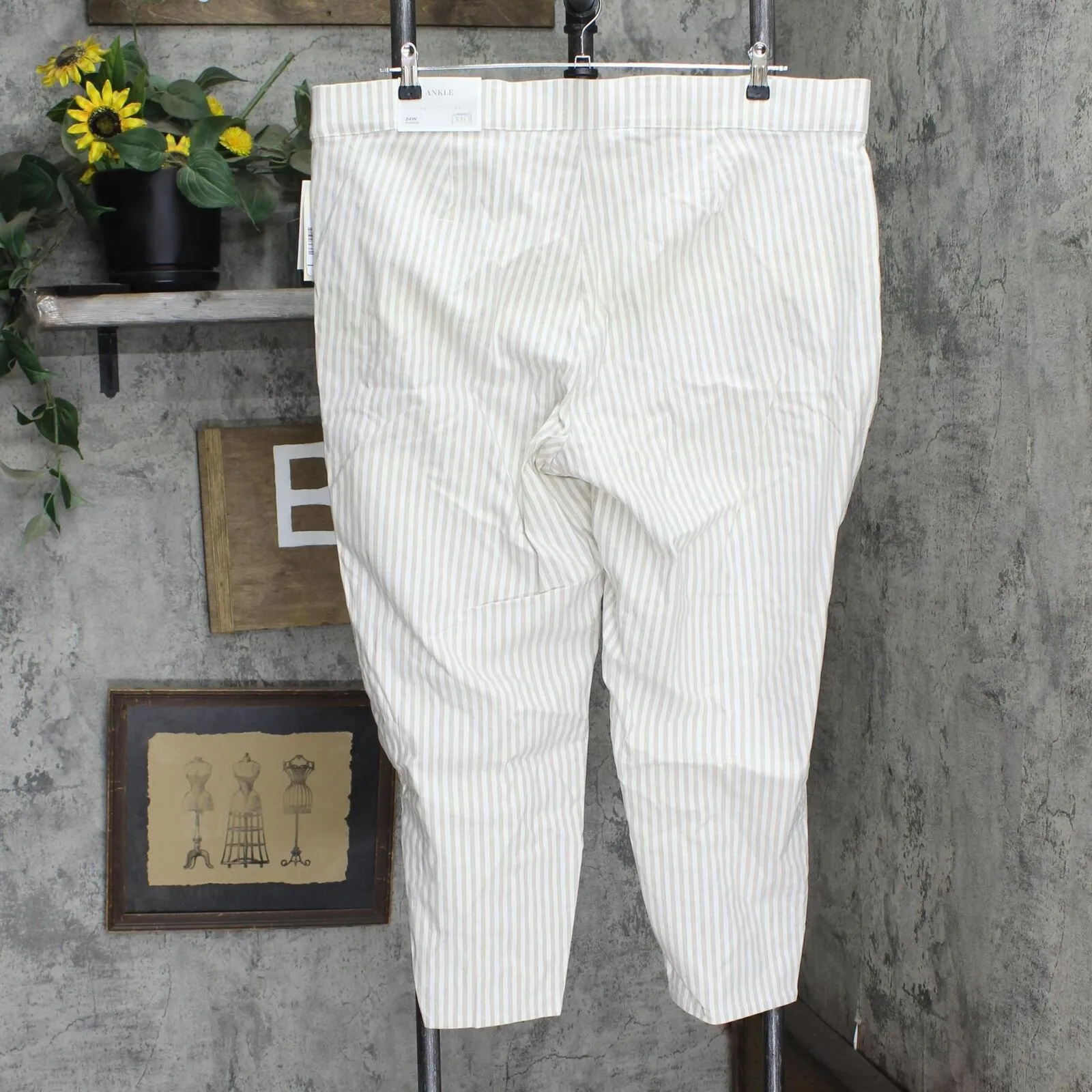 Cj Banks Womens Slimming Plus Size Ankle Perfect Pants 5501