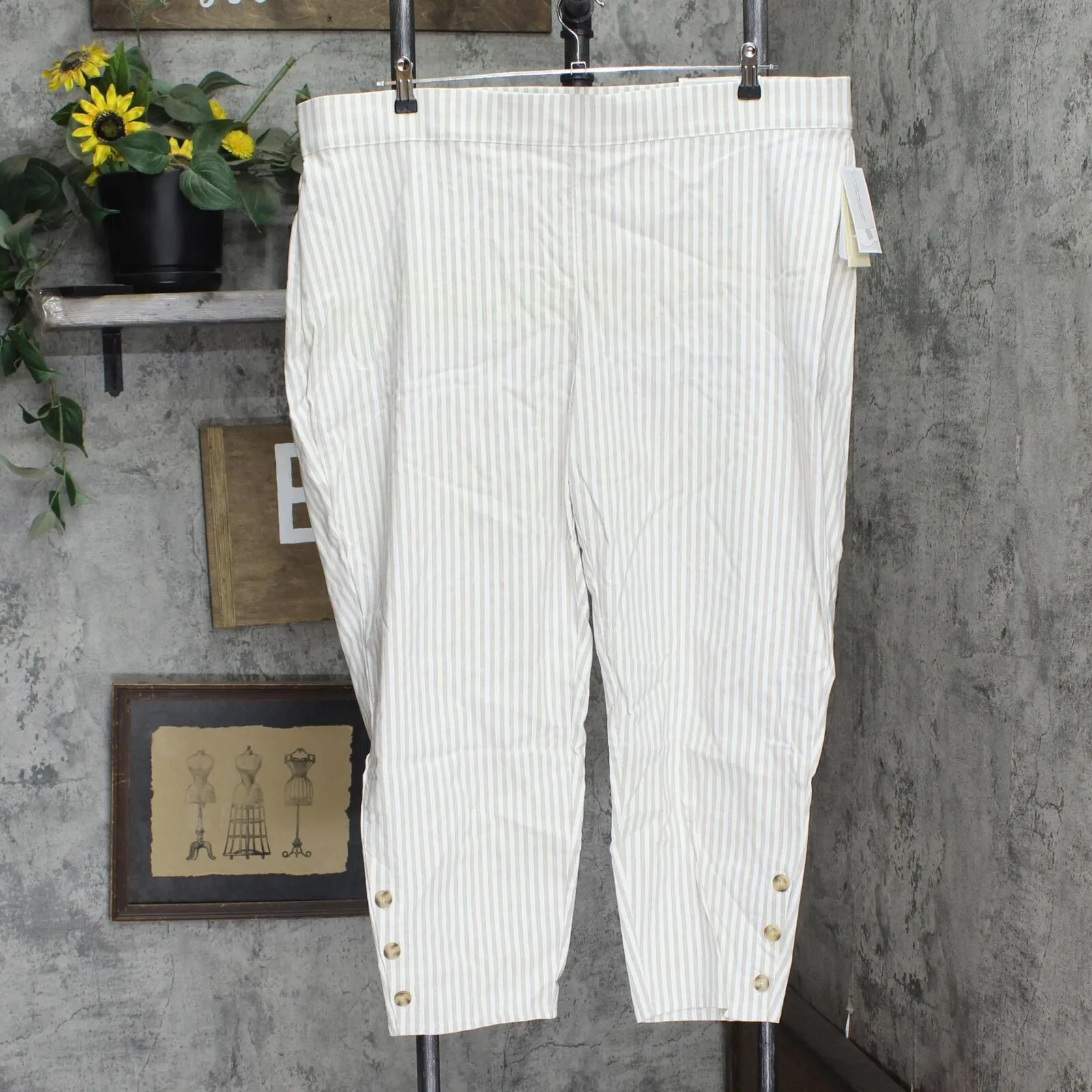 Cj Banks Womens Slimming Plus Size Ankle Perfect Pants 5501