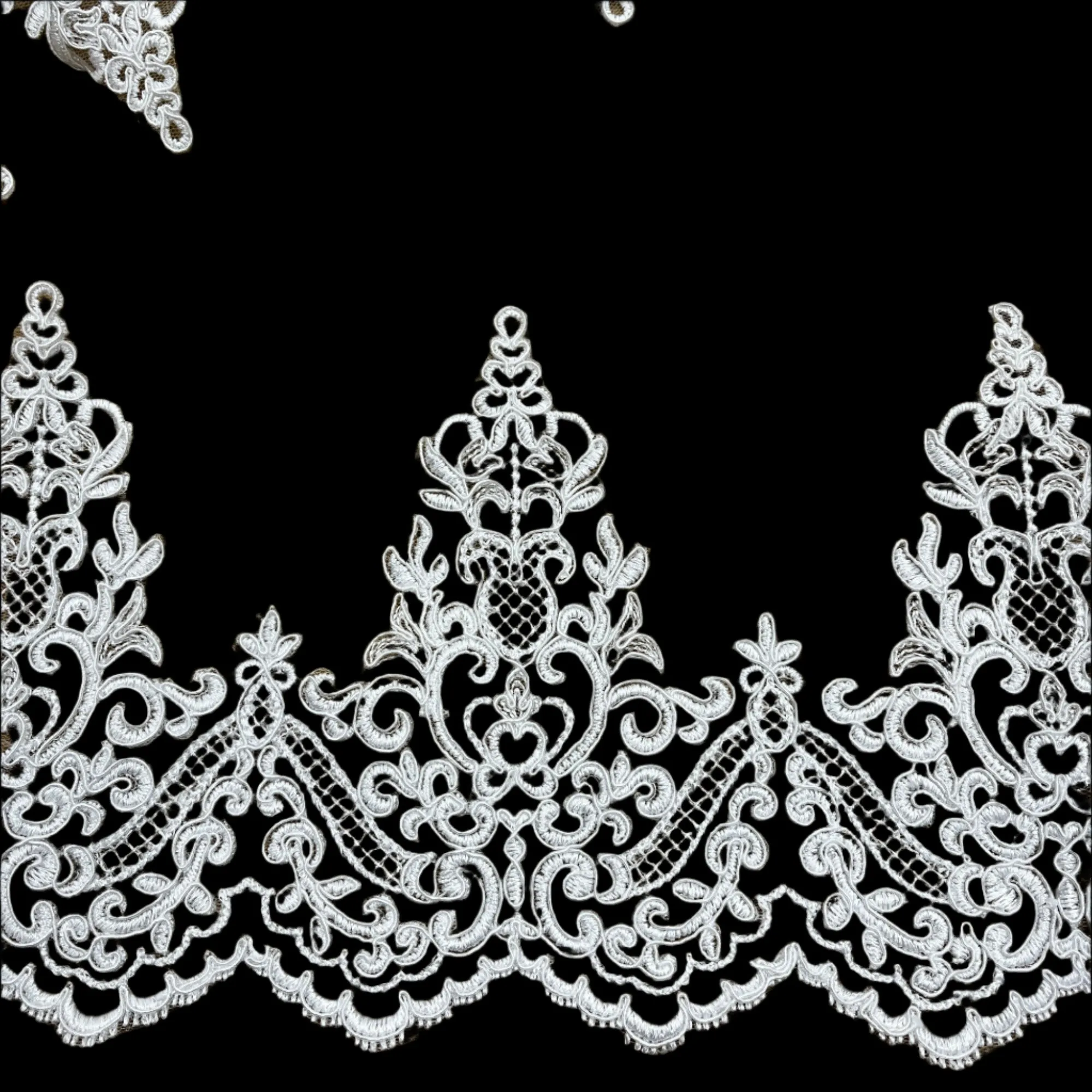 Corded Lace Trimming Embroidered on 100% Polyester Net Mesh | LaceUSA - 97014W