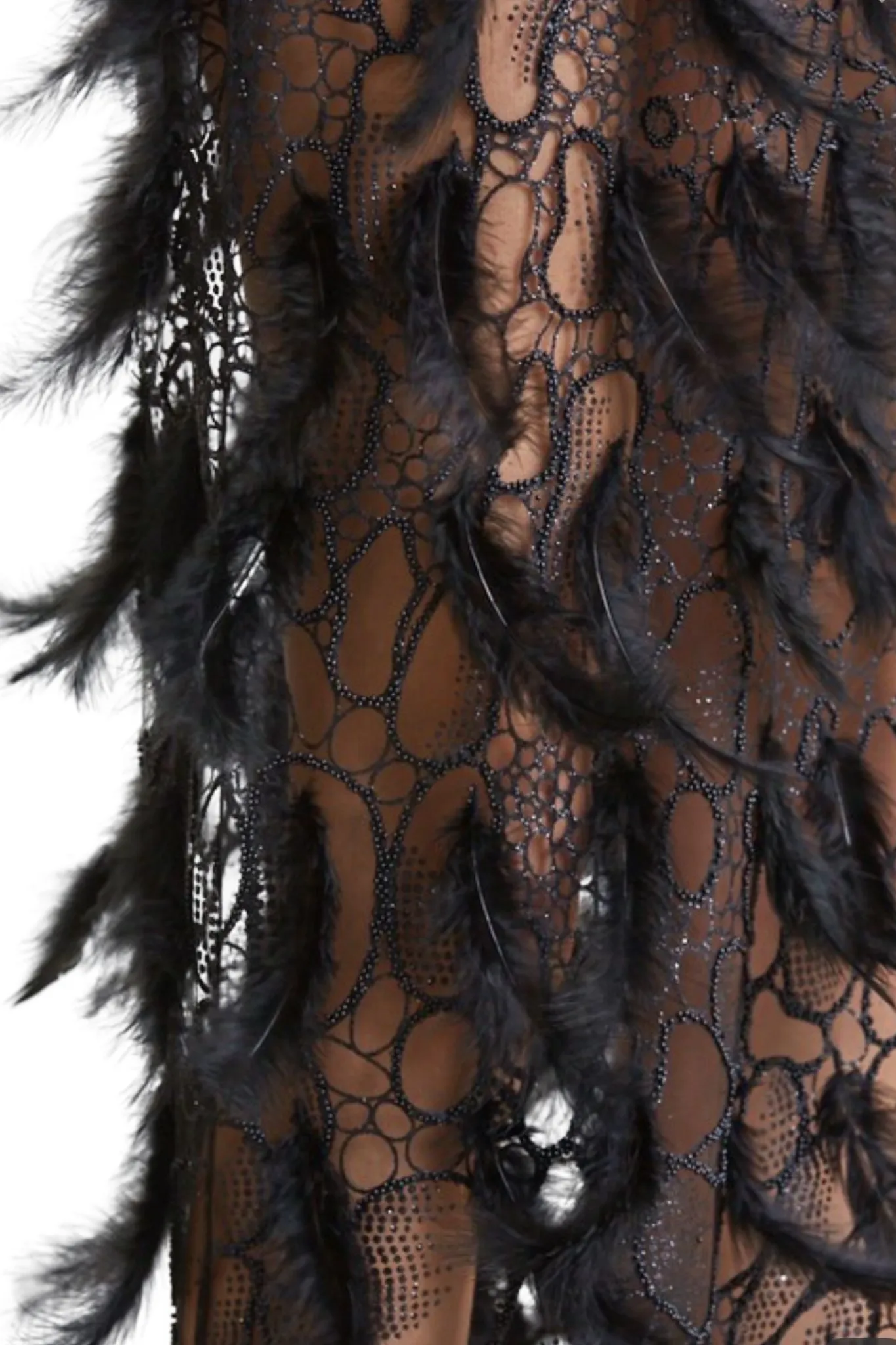 Darla Feather Trim Mesh Dress