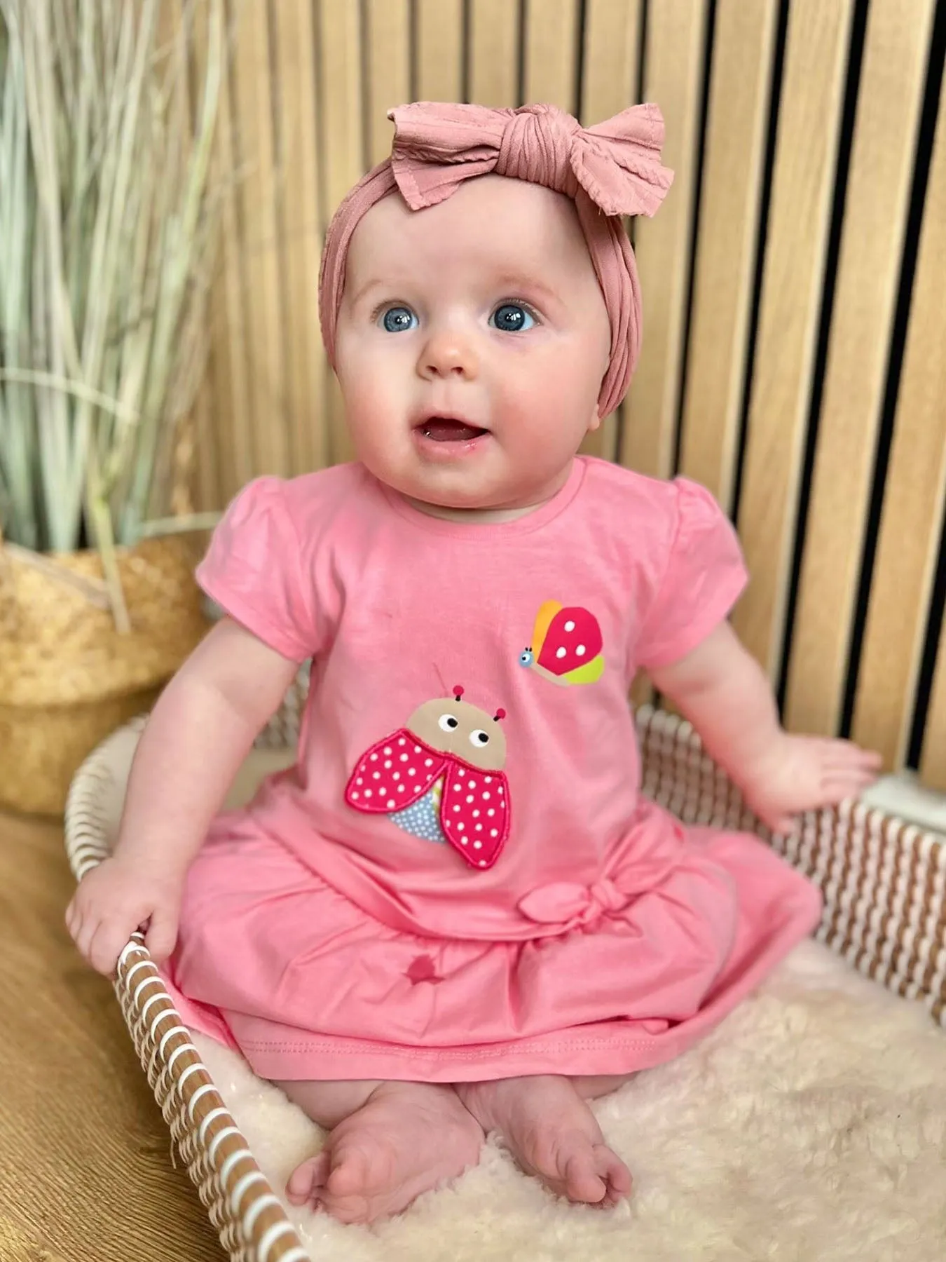 Mayoral Baby Girl Pink Ladybird Dress