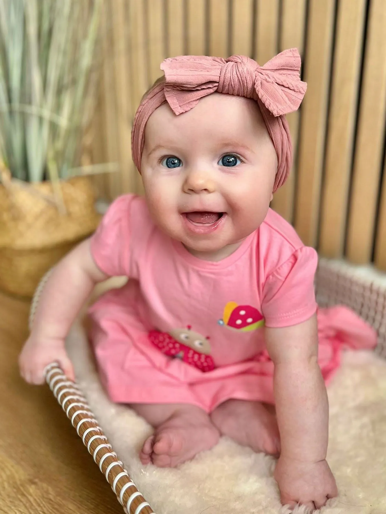 Mayoral Baby Girl Pink Ladybird Dress