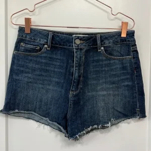PAIGE denim shorts.