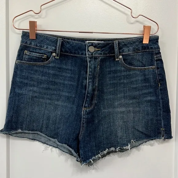 PAIGE denim shorts.