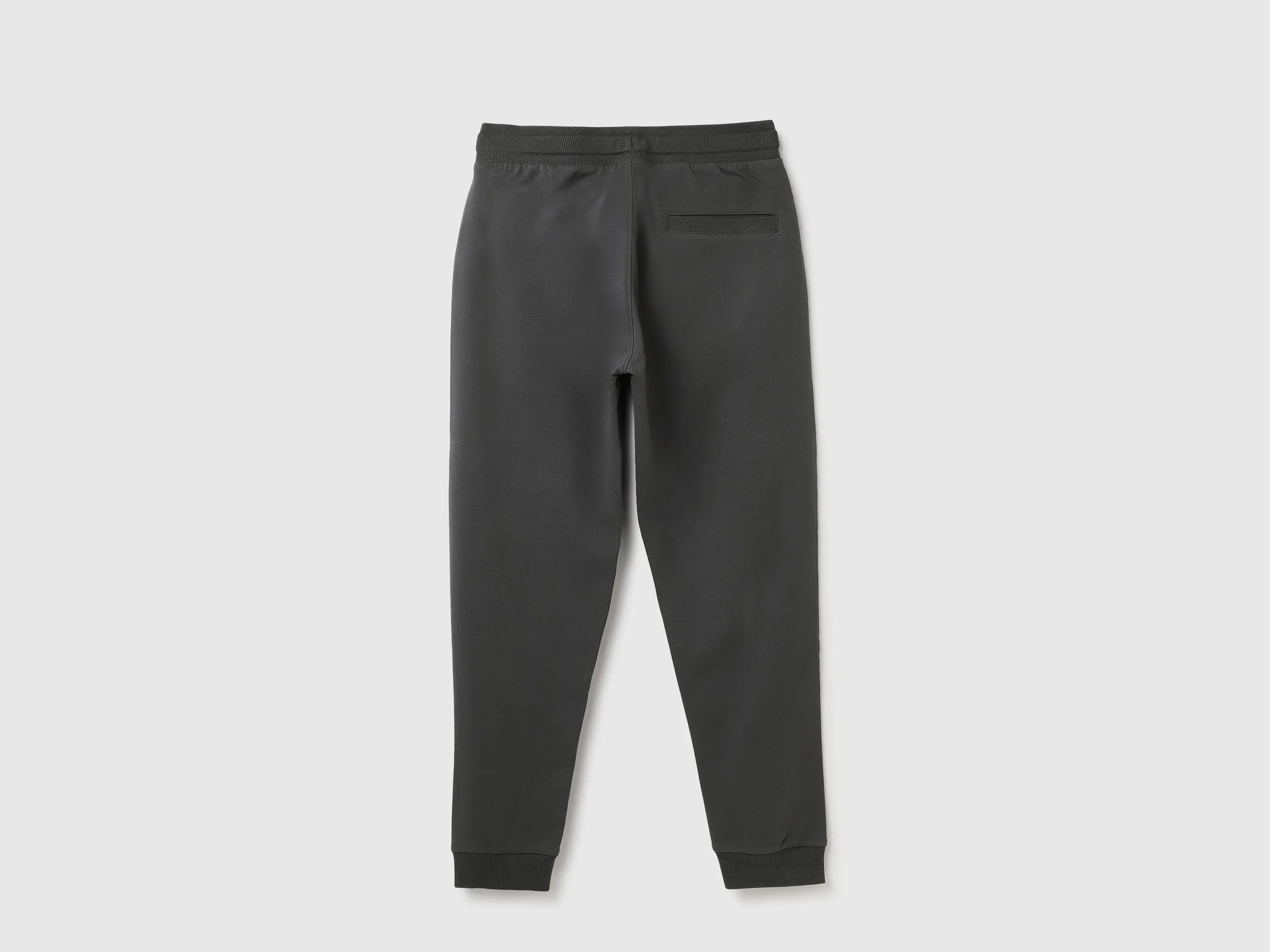 Printed Mid Rise Regular Fit Joggers