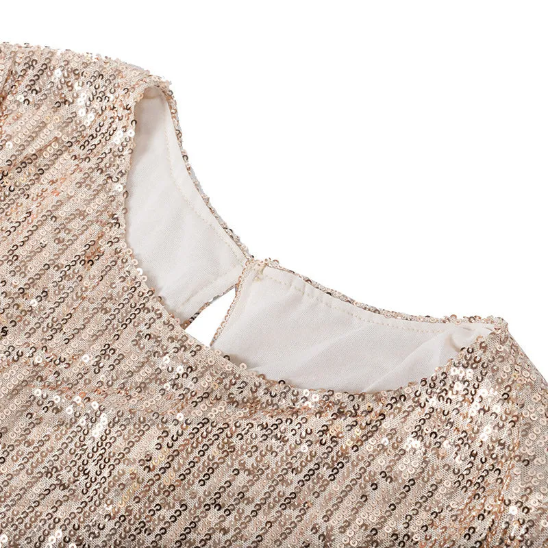 Round Collar Lantern Sleeve Sequin Puff Sleeve Mini Dresses Silver