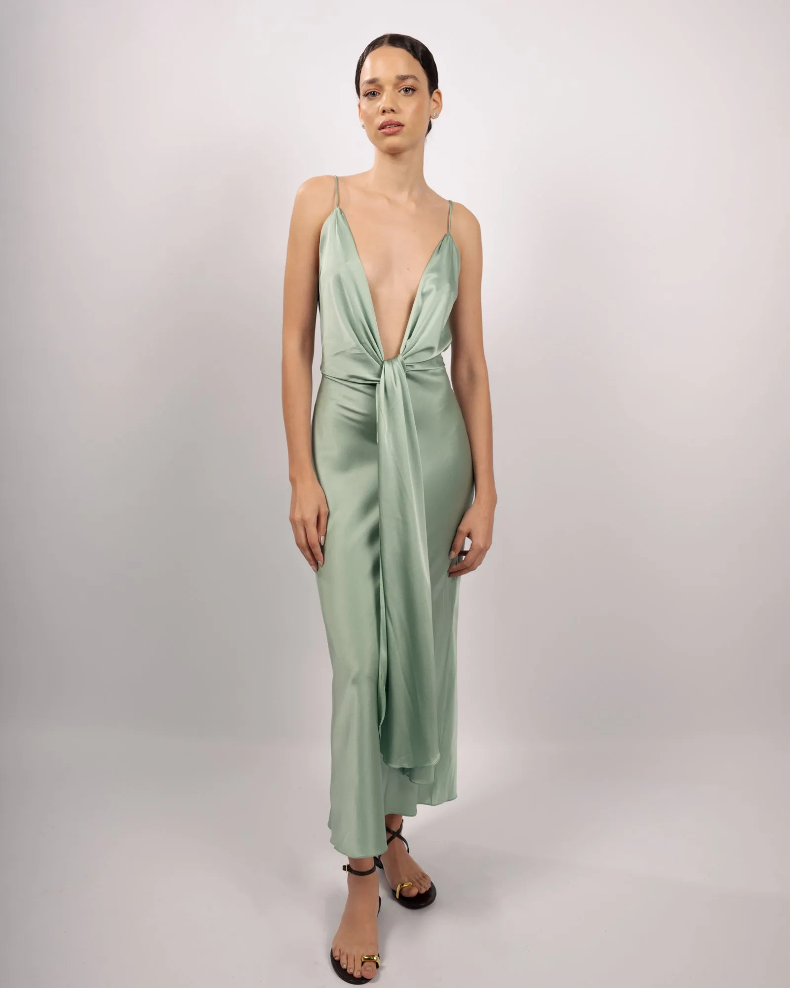 Santa Cruz Dress