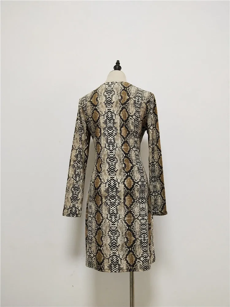 Serpentine Printed Lace Dress