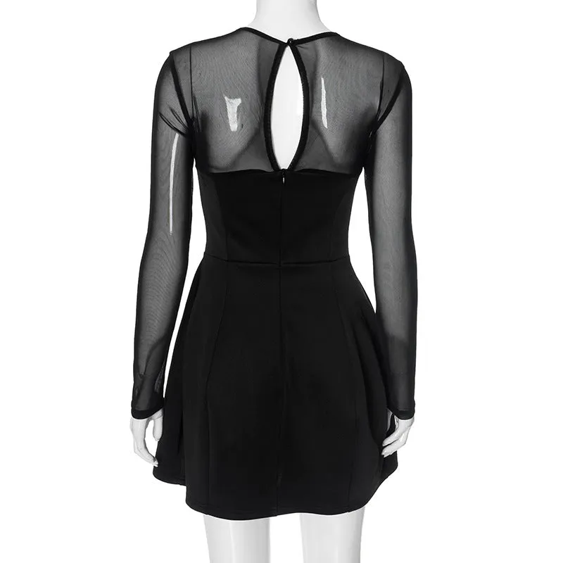 Sheer Sleeve Fit and Flair Mini Dress