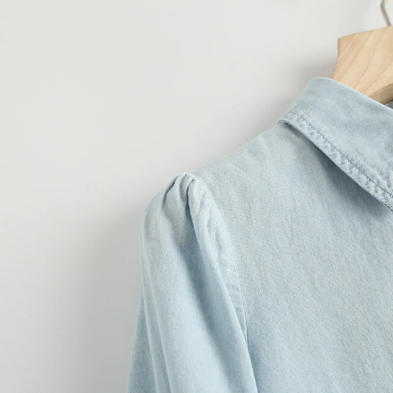 Single-breasted Pile Collar Denim Mini Dresses
