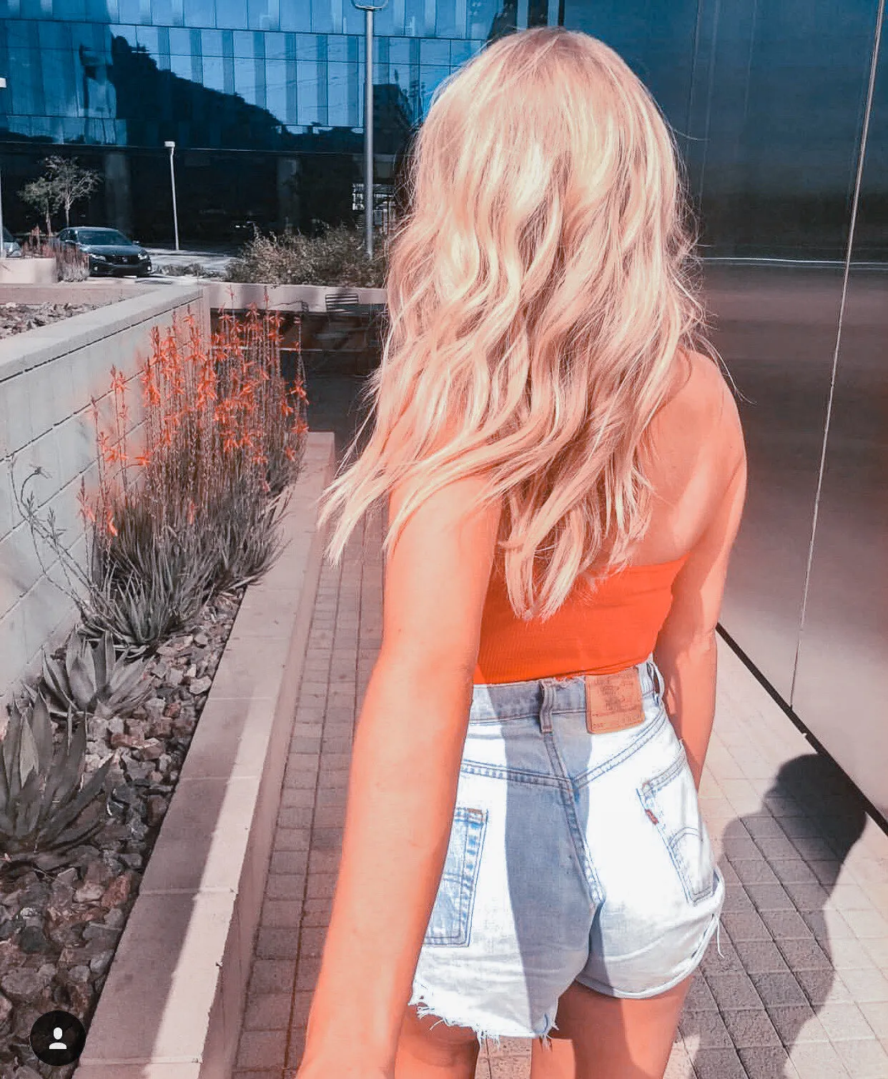 Vintage, High Waisted Levi Shorts - Prices Vary Based on Size